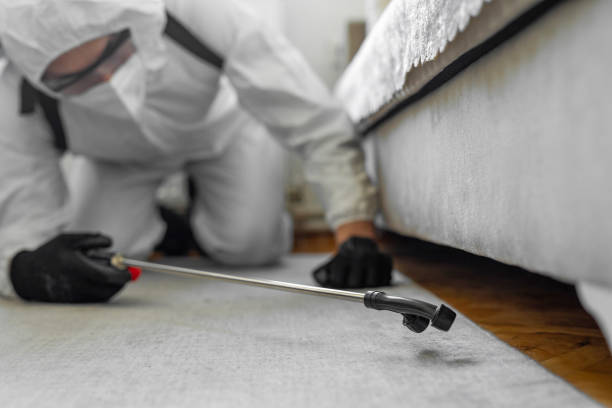 Professional Bed Bug Control technician working in Lake Stickney, WA
