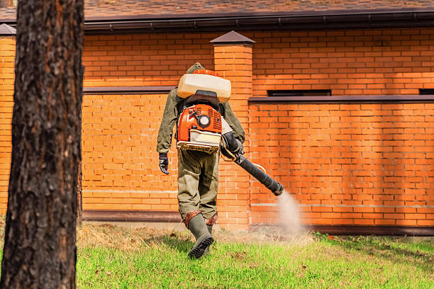 Trusted Termite Control service in Lake Stickney, WA - Nex Pest Control